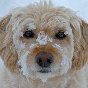 Meet your Posher, Ellen